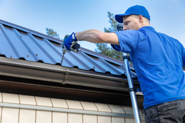 Best Skylight Installation and Repair  in Ruthers, CA